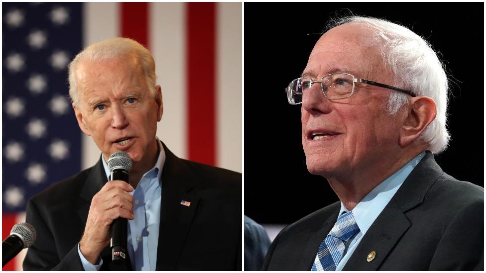 Joe Biden and Bernie Sanders are among the Democrats' candidates