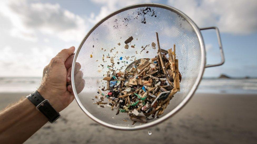 Plastic from Almaciga Beach, on the north coast of the Canary Island of Tenerife