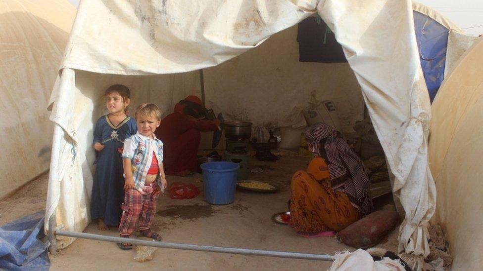 A camp where displaced Iraqis from Falluja are taking shelter, 18 June