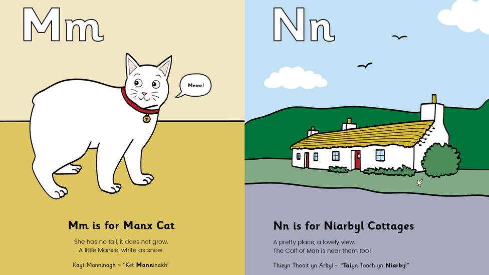 M is for Manx Cat! illustrations