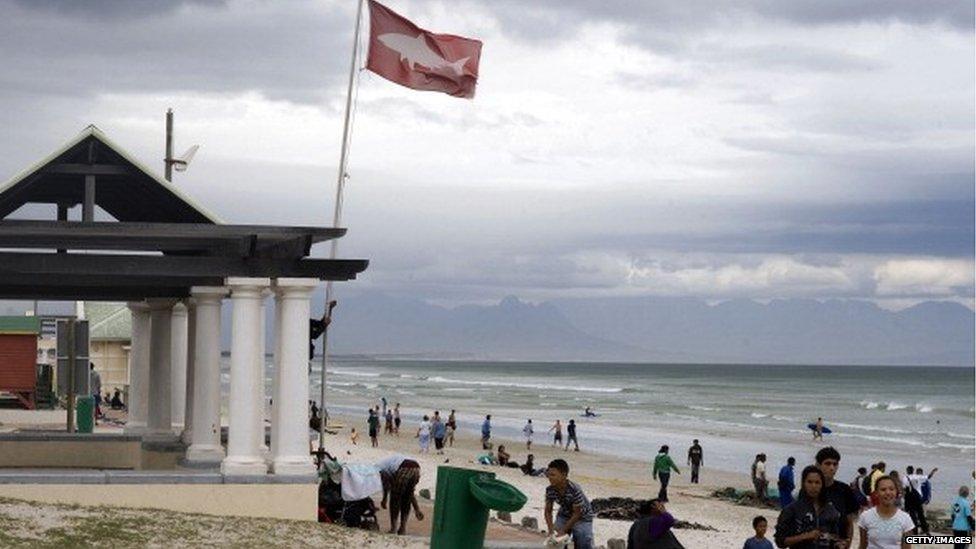 High shark alert flag near Cape Town