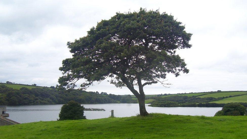 Llys y Fran reservoir