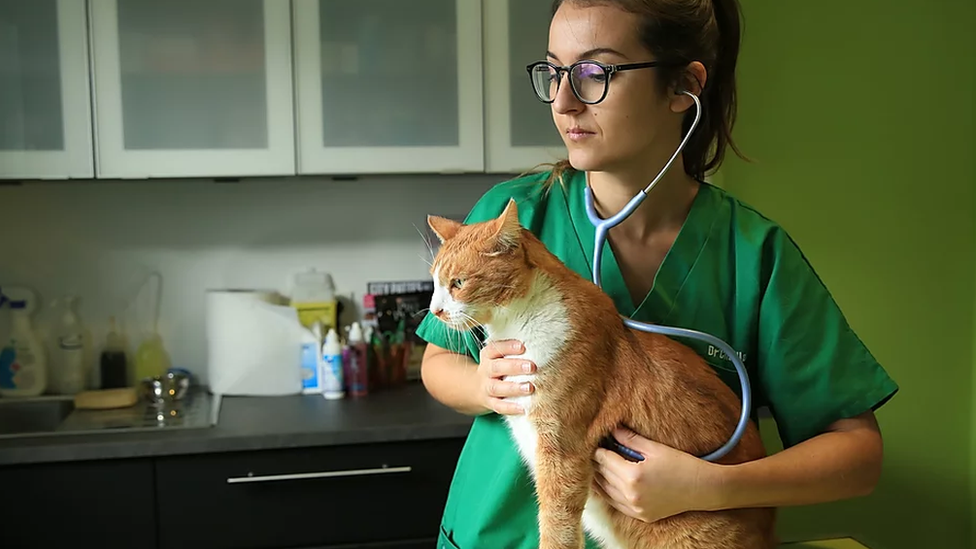 Image shows Marina Chaillaud with a cat