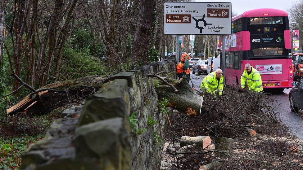 A fallen tree was removed from Stranmillis Road in south Belfast