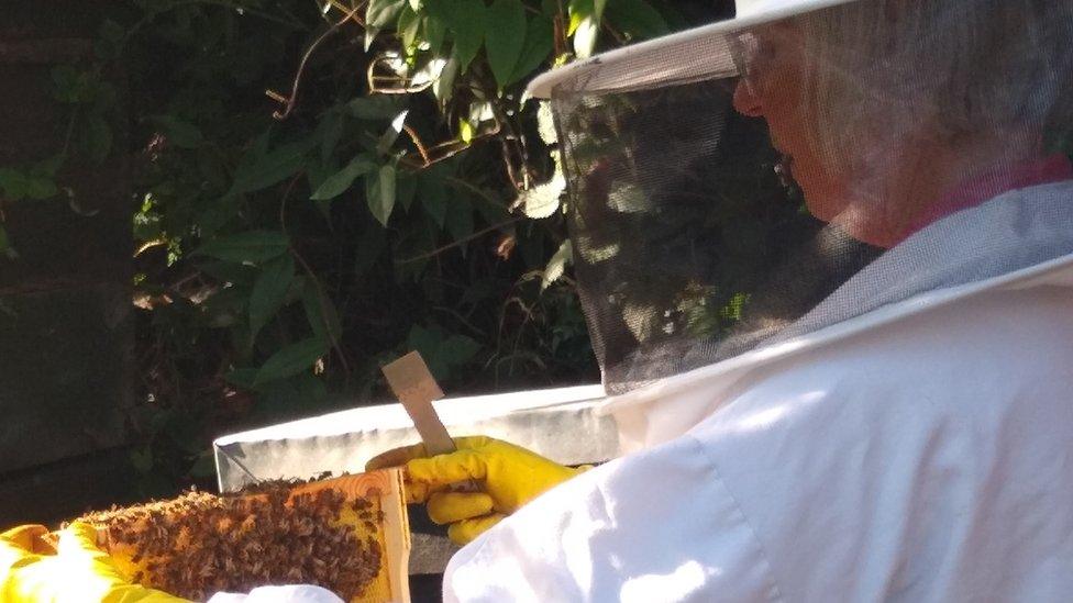 Cathy Williams with her beehives