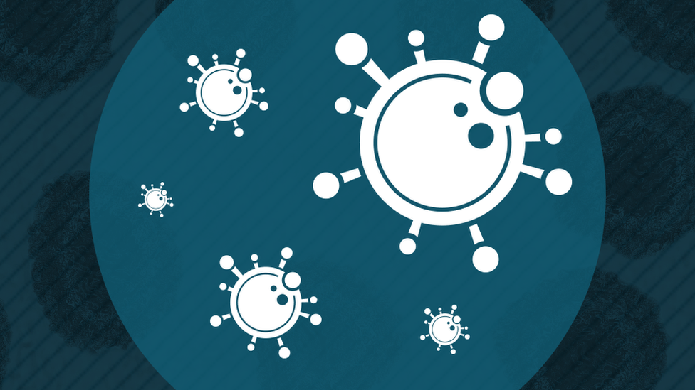 Illustration of the coronavirus