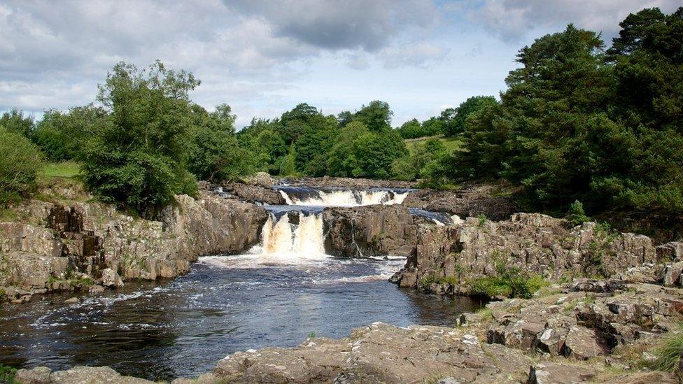 Low Force