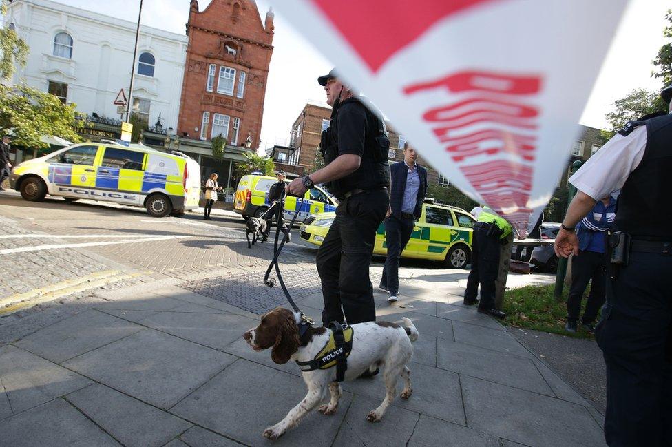 Sniffer dogs being used at the scene.