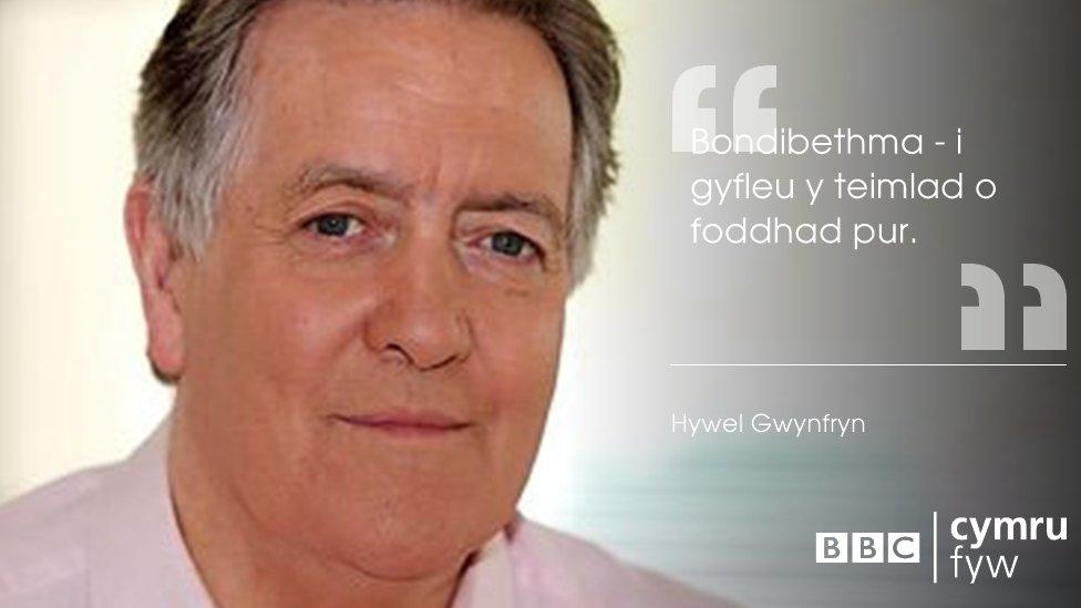 Hywel Gwynfryn