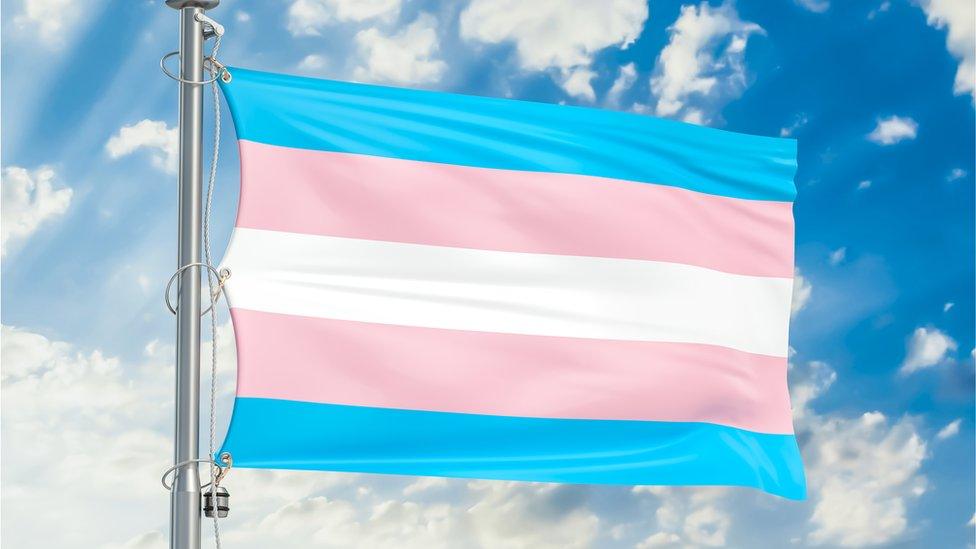 Transgender flag