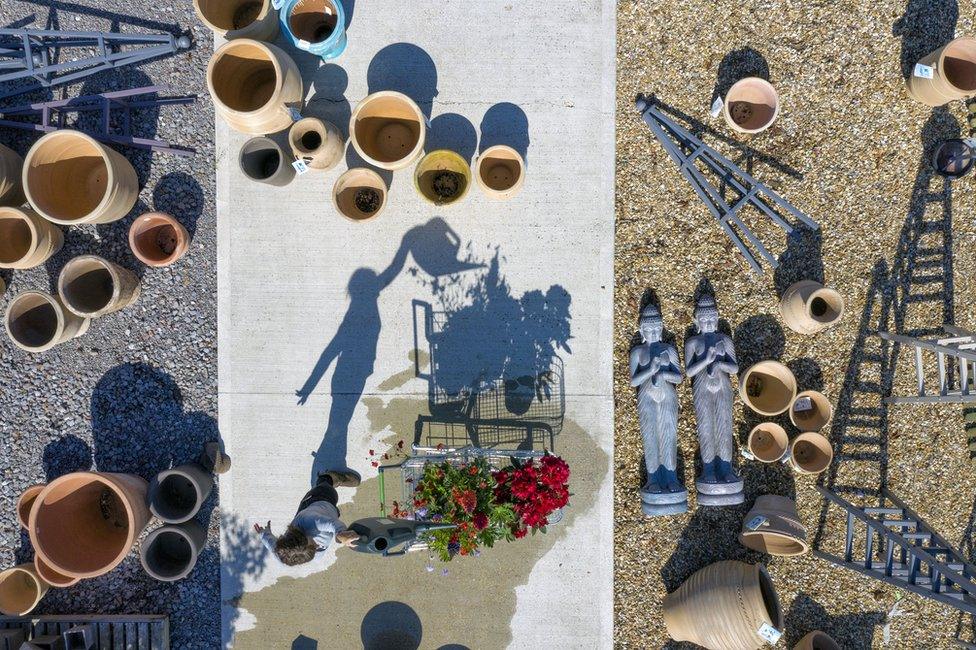 An aerial view of a person watering plants with their shadow cast on the ground