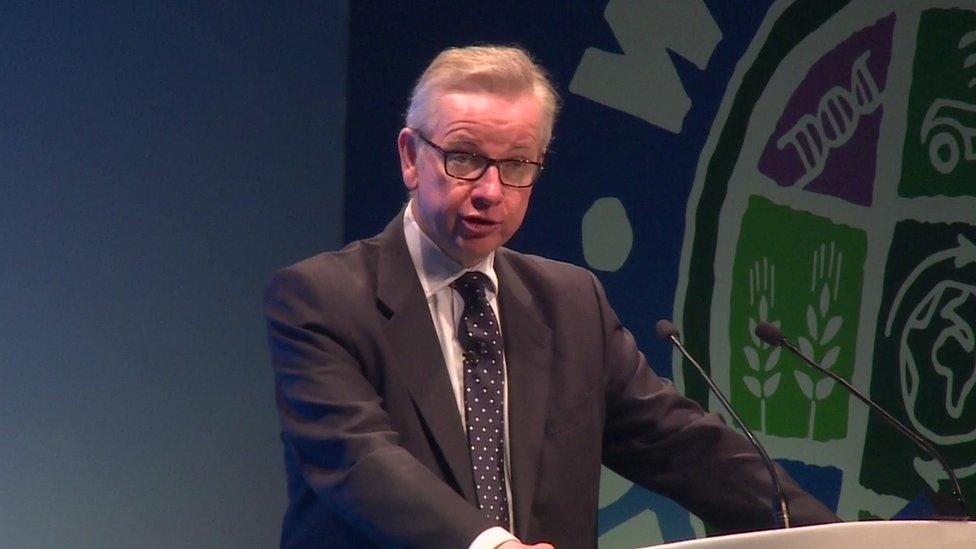 Environment Secretary Michael Gove