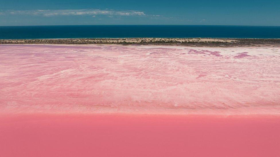 Hutt Lagoon photographed on a sunny day from an aerial point of view, Western Australia