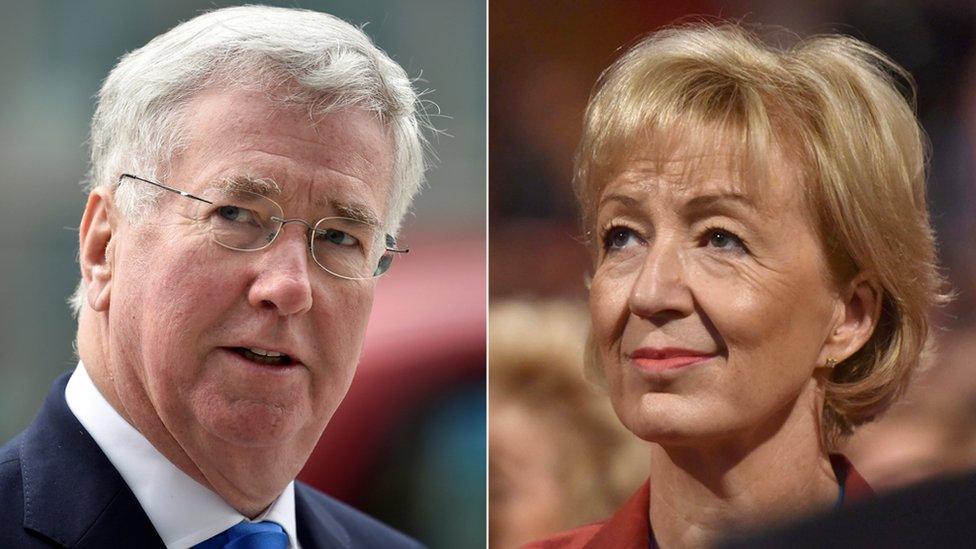 Sir Michael Fallon and Andrea Leadsom