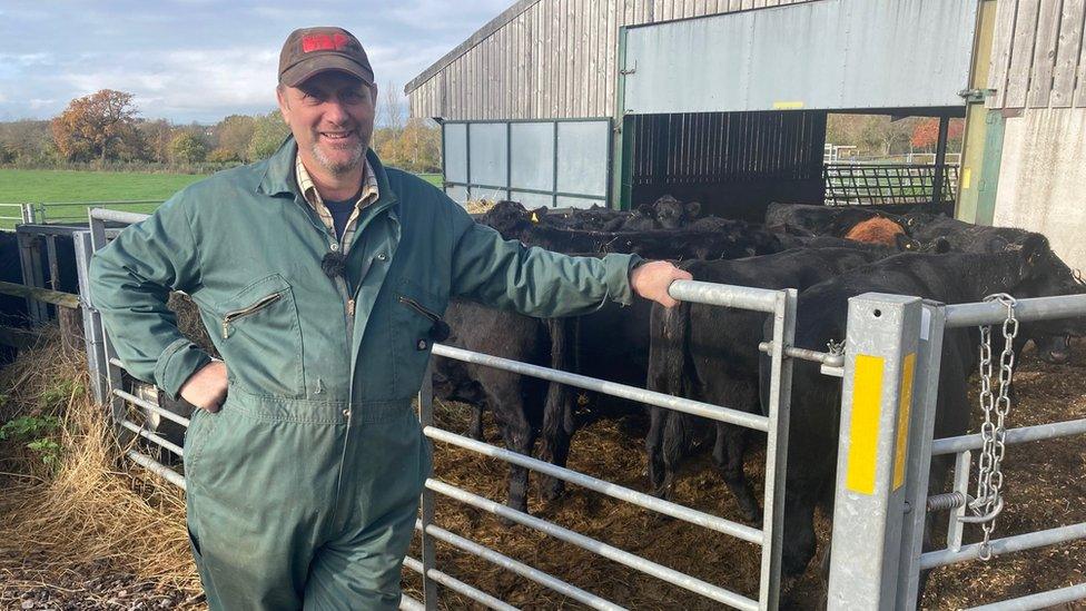 Farmer Ian Pullen and cattle