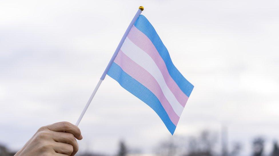 Transgender flag