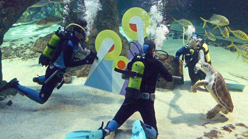 Divers install the Christmas nativity figures in a shark aquarium at the zoo in Madrid.