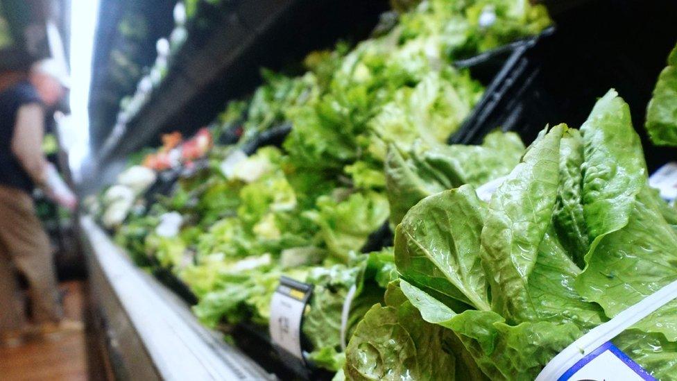 Romaine lettuce in a US supermarket