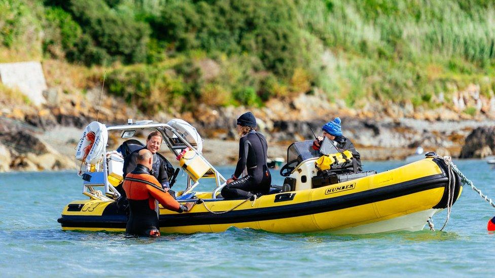 Divers collecting seagrass seeds