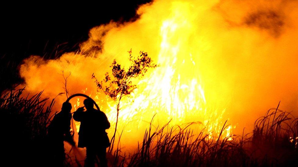 Fires in Indonesia