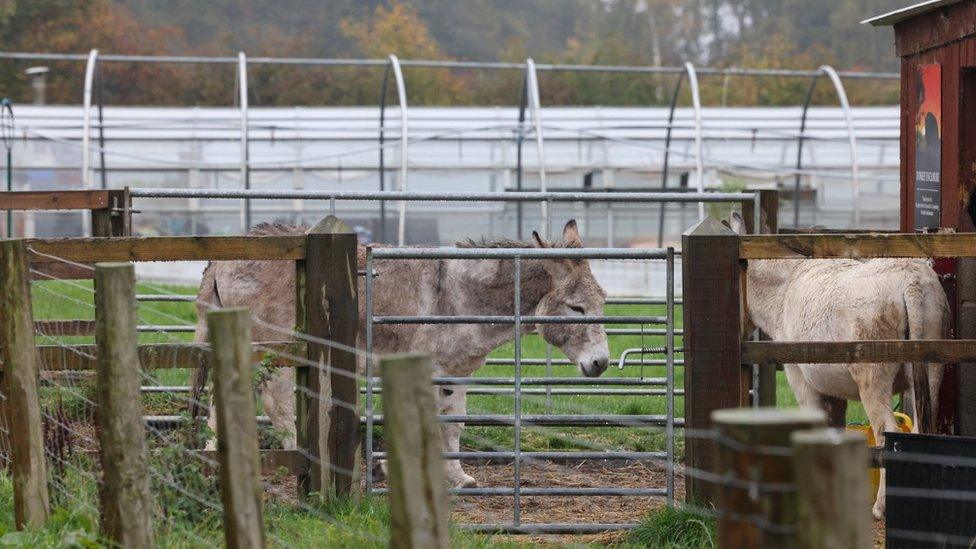 Rising Sun Farm in Wallsend