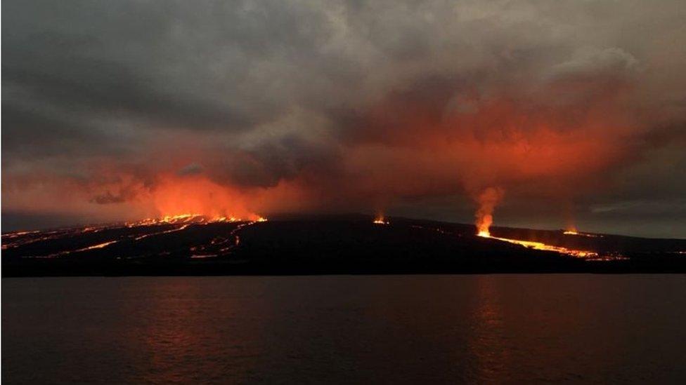 Handout picture released by the Galapagos National Park press service showing lava flowing down the Sierra Negra volcano on Isabela Island in the Galapagos Archipelago about 1000 km off the Ecuadorean coast in the Pacific Ocean, early on June 27, 2018.