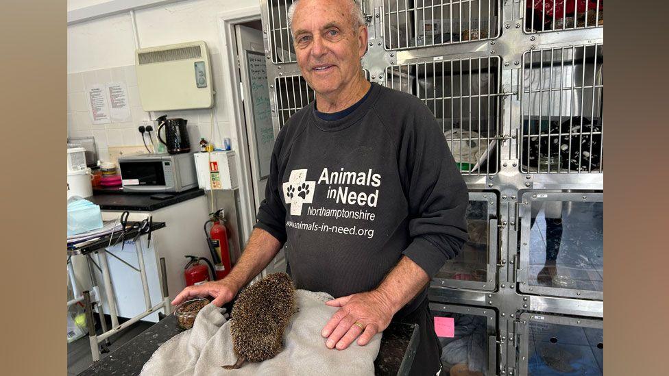 Roy Marriott wearing a grey sweatshirt with Animals in Need in white lettering on its front, standing behind a hedgehog on a cloth inside the charity's hospital with cages behind