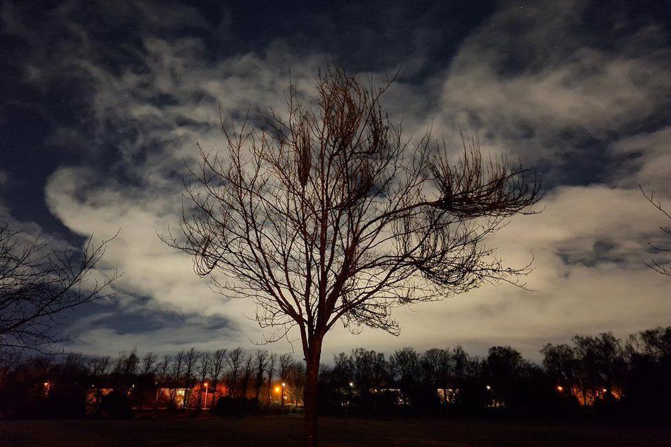 The silhouette of a tree against a dark sky that has swirly clouds in it. 