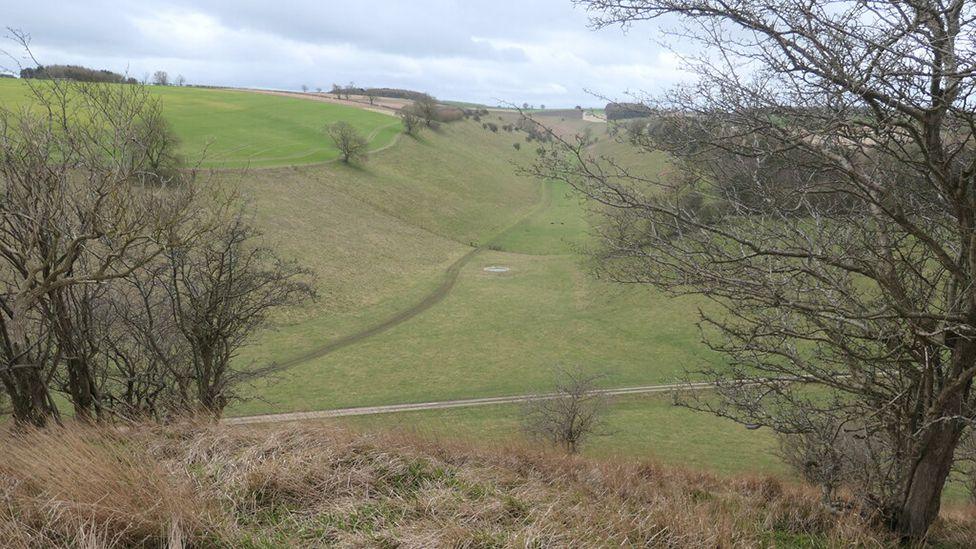 A view of a grassed valley near Thixendale with bare-branched trees in the foreground