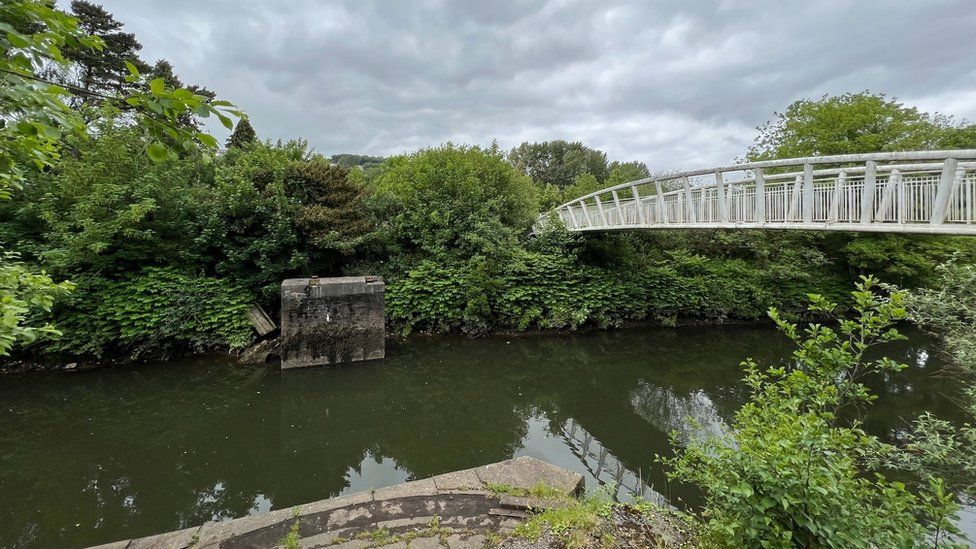 A wide image of the river Tawe. On both sides there are green trees and bushes. On the right, there is a white bridge which connects both sides. The water is dark green. 