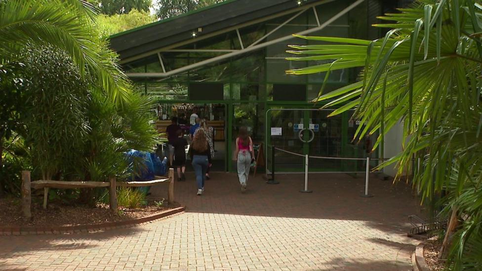 Job losses announced at Paignton Zoo and Newquay Zoo - BBC News