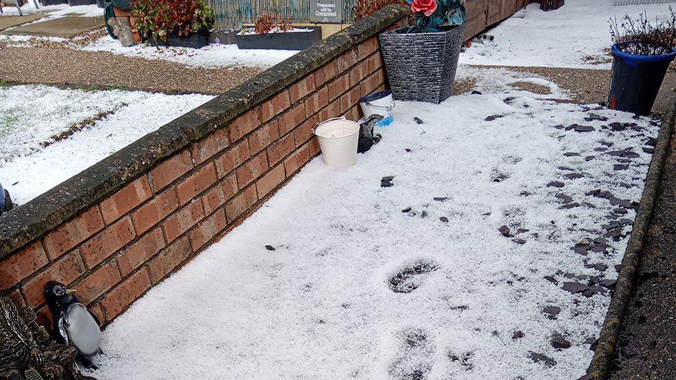 A layer of hailstones with footprints across them in a garden in Saxilby
