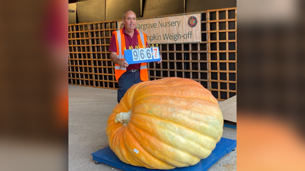 Curtis Leach standing up this time, next to a giant pumpkin with a sign saying "966.7", which signifies that it weighed 966.7lbs