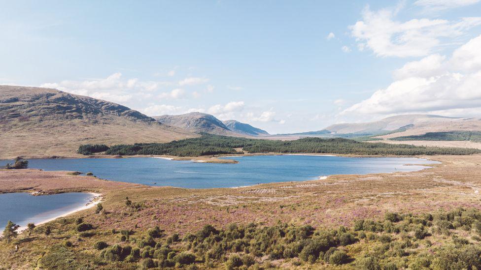 A south of Scotland landscape with hills in the distance and a loch in the foreground surrounded by forests and more barren areas