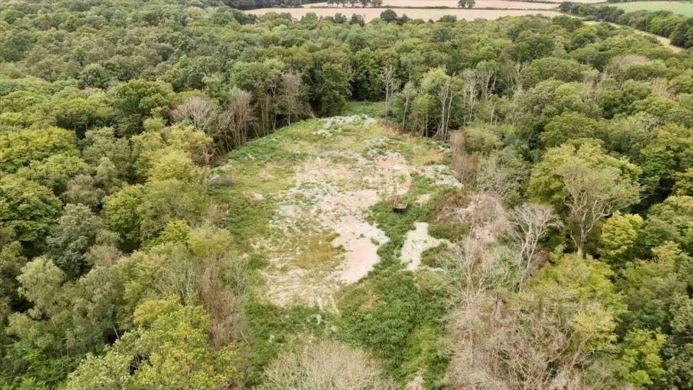 A birds eye view of Hoad's Wood