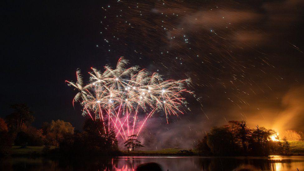 Pink fireworks shooting up into white sparks with trees along a bank and a large expanse of water