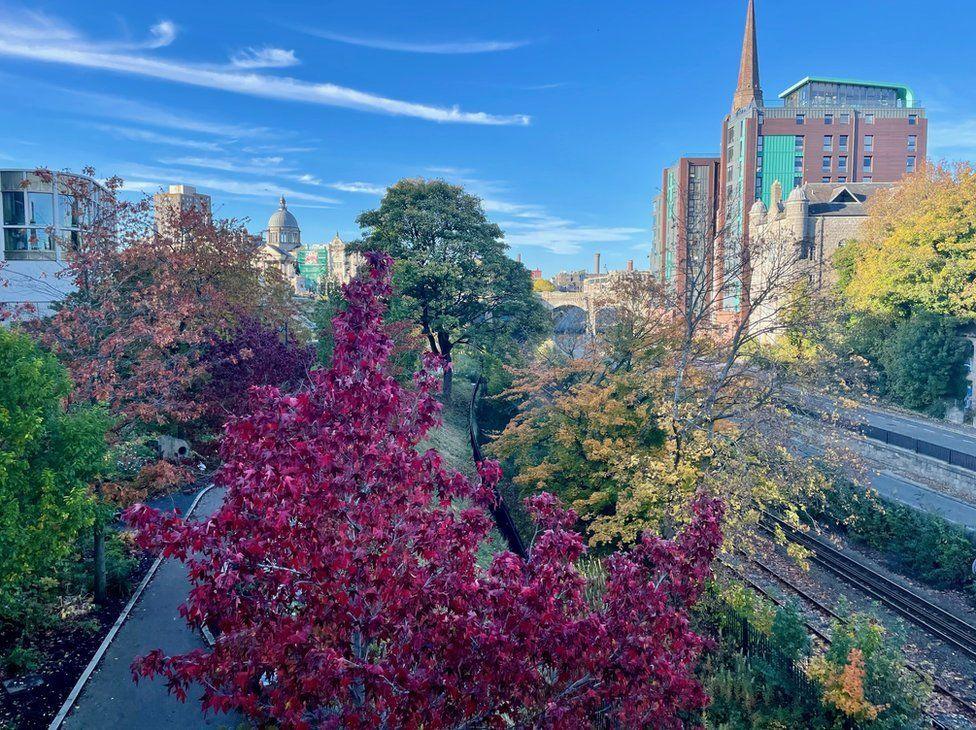 Beautiful sky and Autumn trees with buildings in the background.