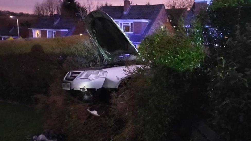 A side view of a silver VW Passat poking through a hedge