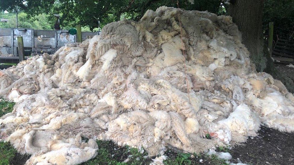 Fleeces to be used for fertiliser