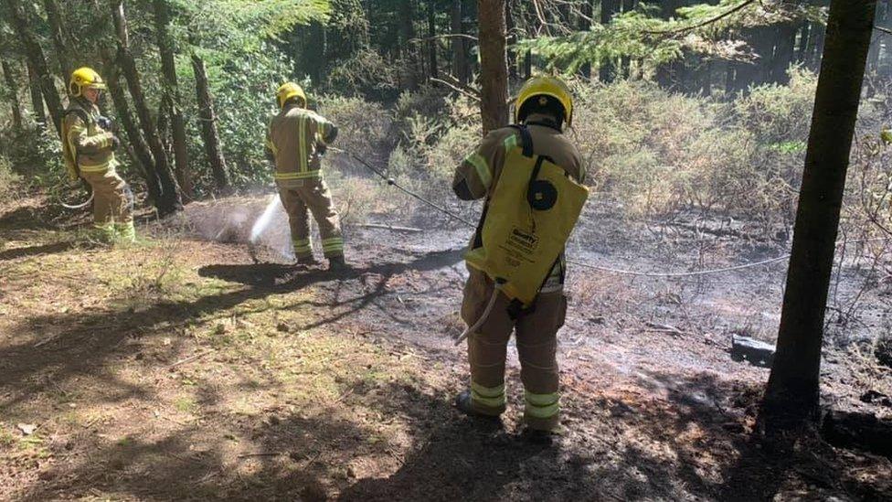 Puddletown Forest fire