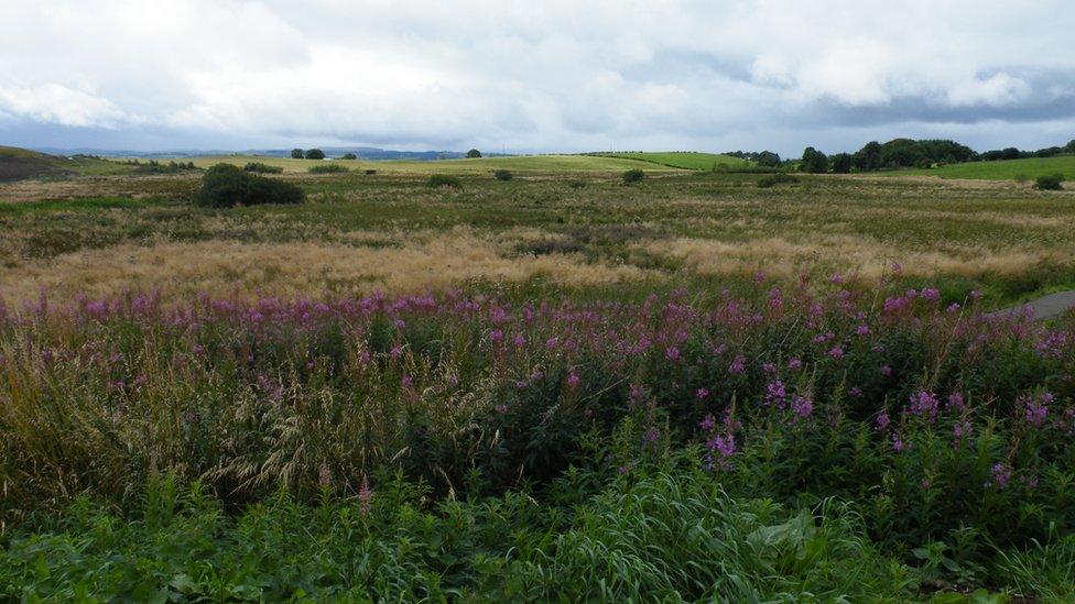 Cathkin Marsh Wildlife Reserve