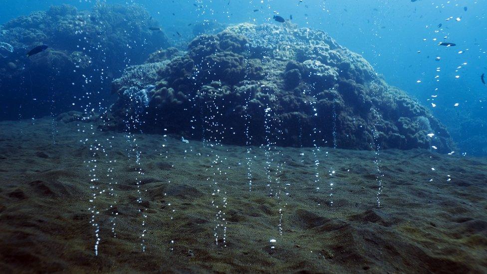 Hydrothermal Vents