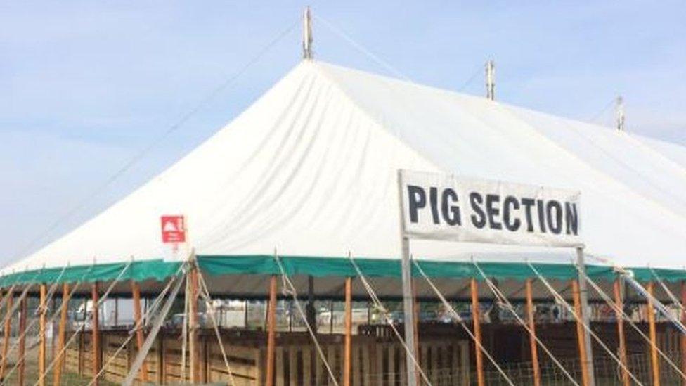 Empty pig tent at Driffield Agricultural Show