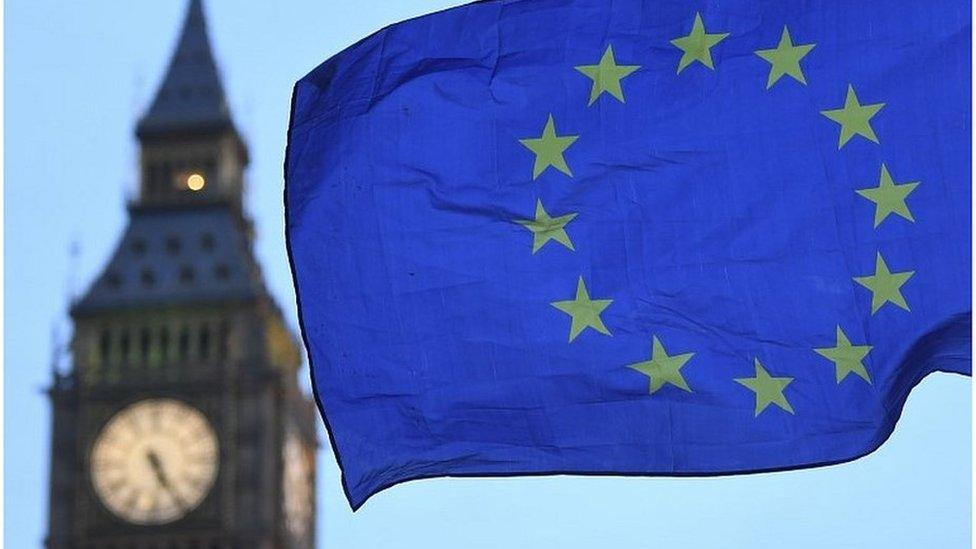 EU flag flying near Houses of Parliament