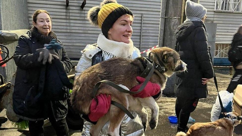 Animal activist carrying stray dog