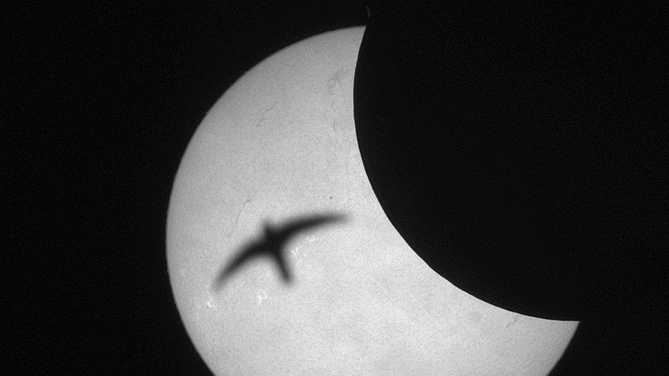 A photo captured by Patrick Poitevin during a total solar eclipse in Indonesia in 2016