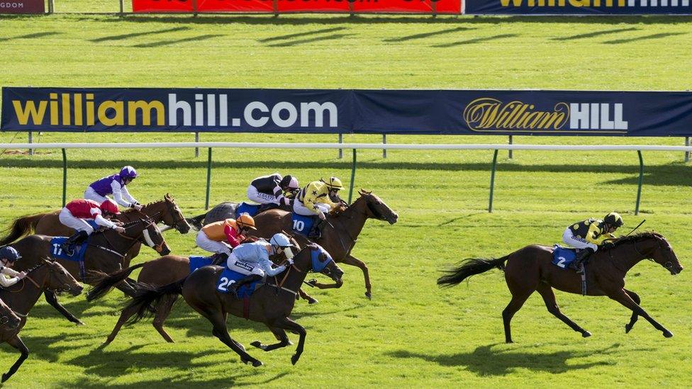 William Hill horserace