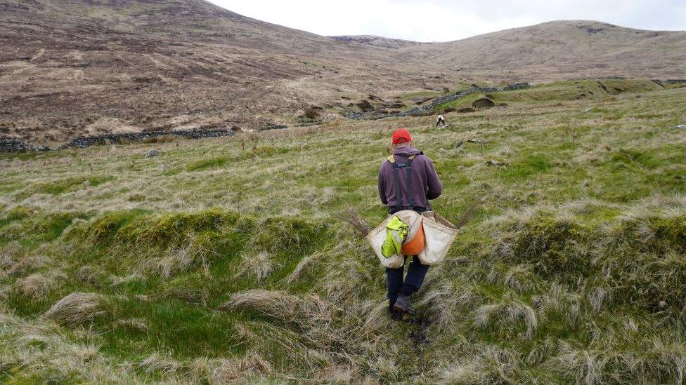 A man working as part of a team planting 14,000 trees in the Mourne mountains