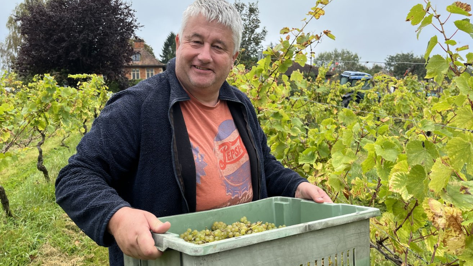 A man holding a basket full of grapes