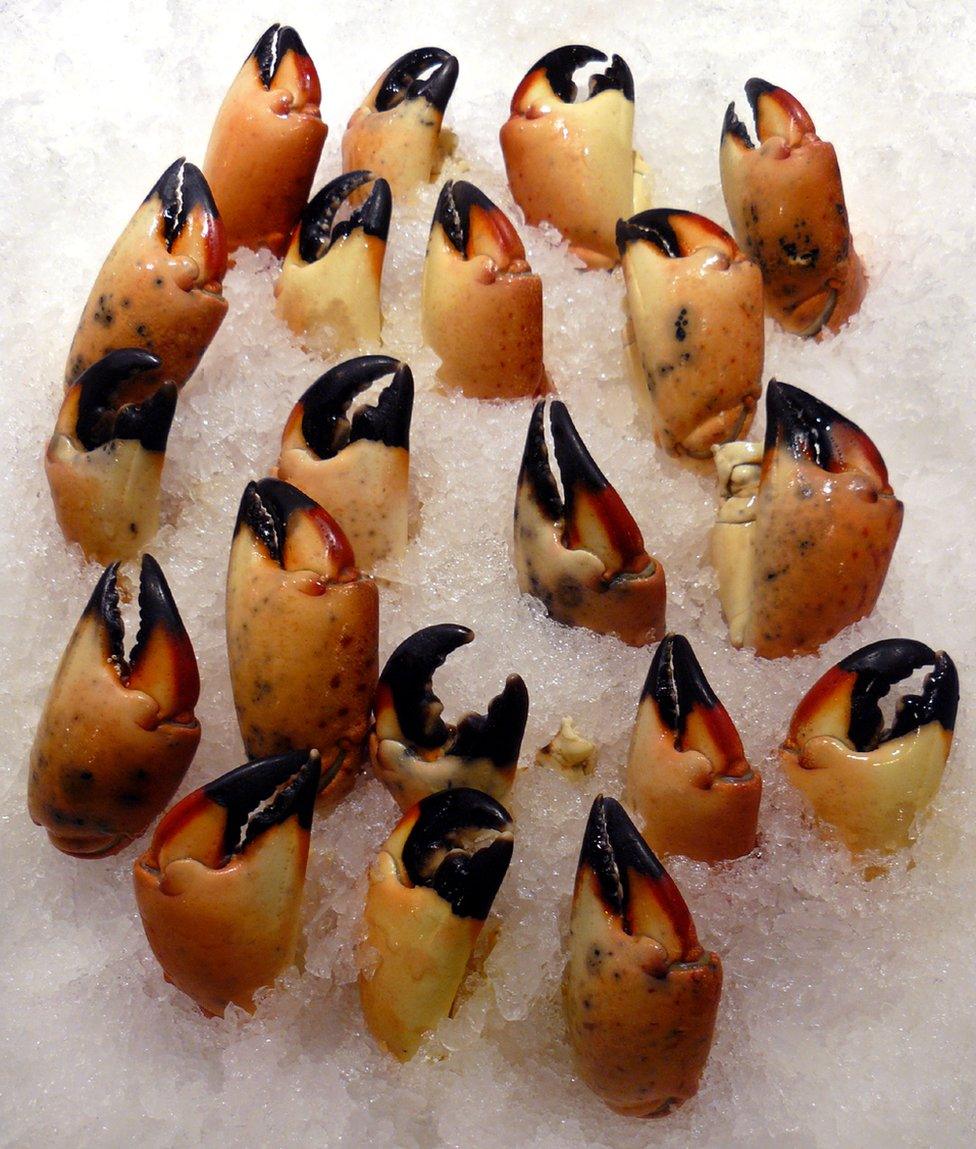 A selection of crab claws